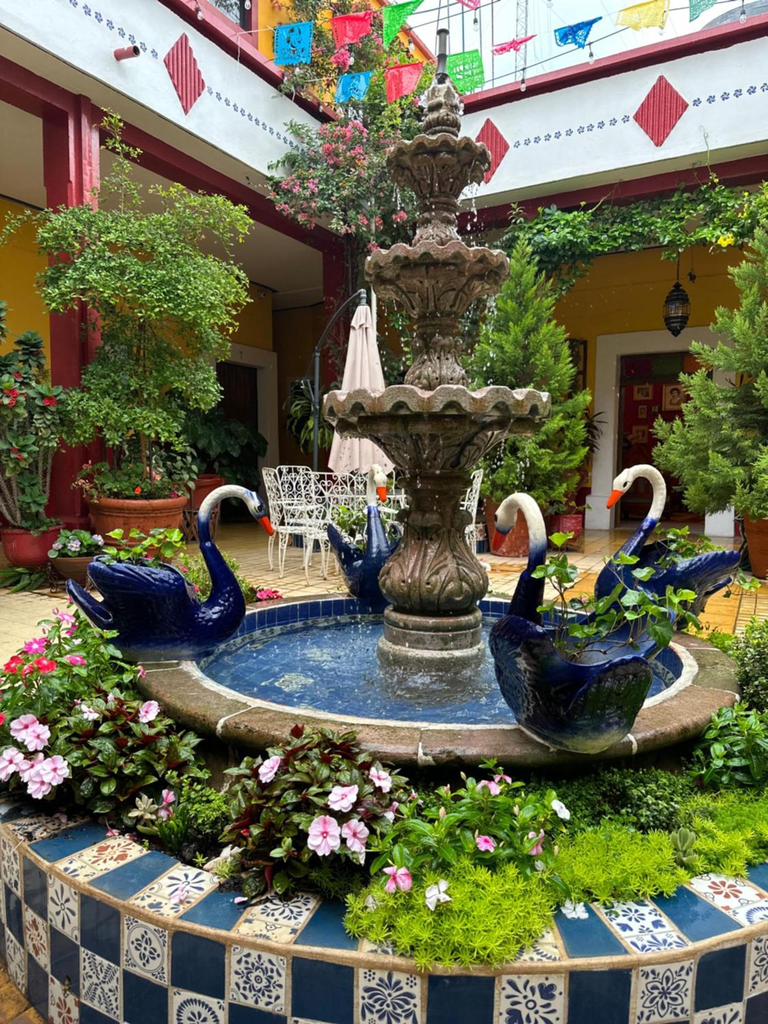 Copa De Oro Hotel Boutique Mascota Exteriér fotografie