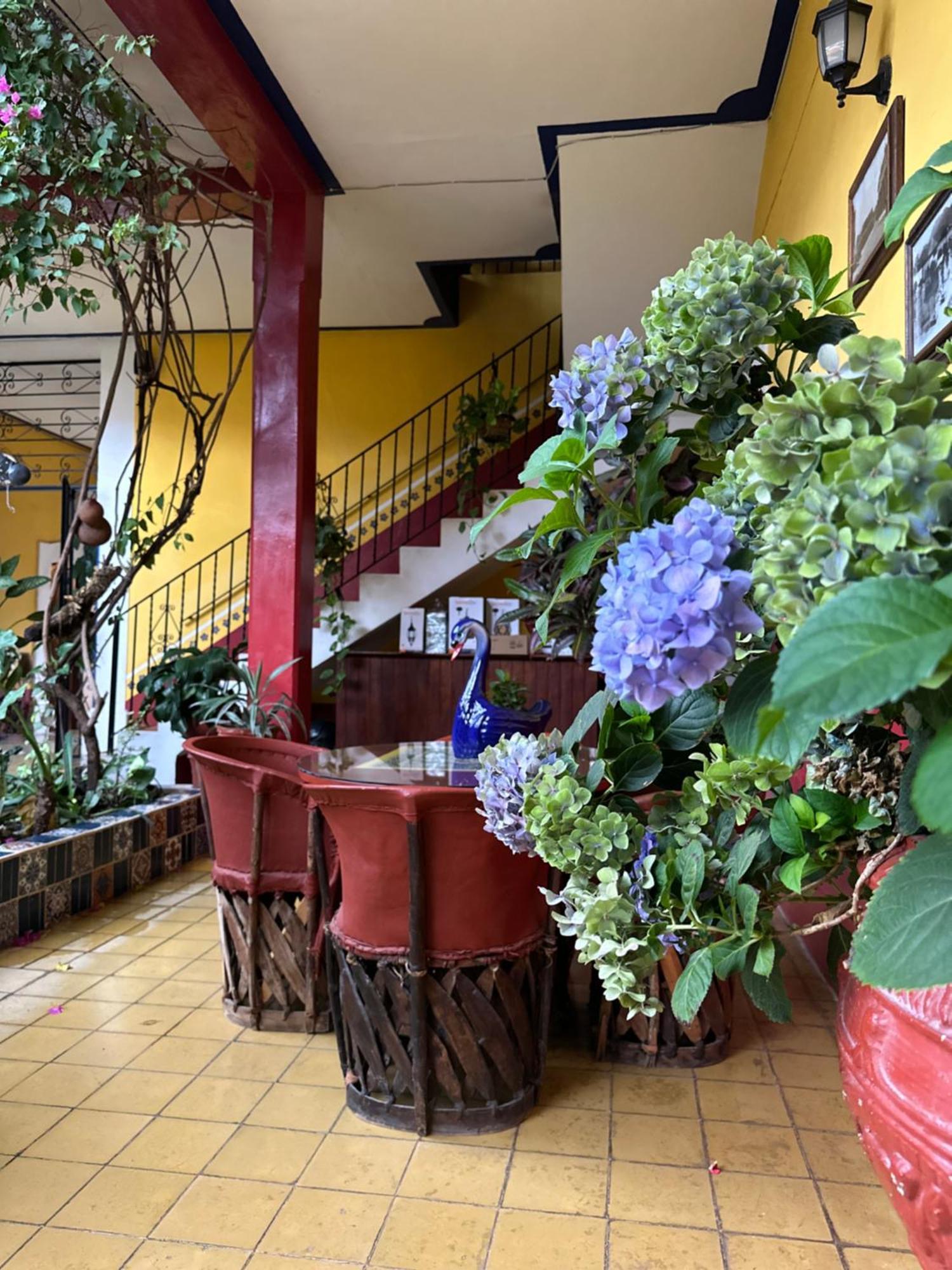 Copa De Oro Hotel Boutique Mascota Exteriér fotografie