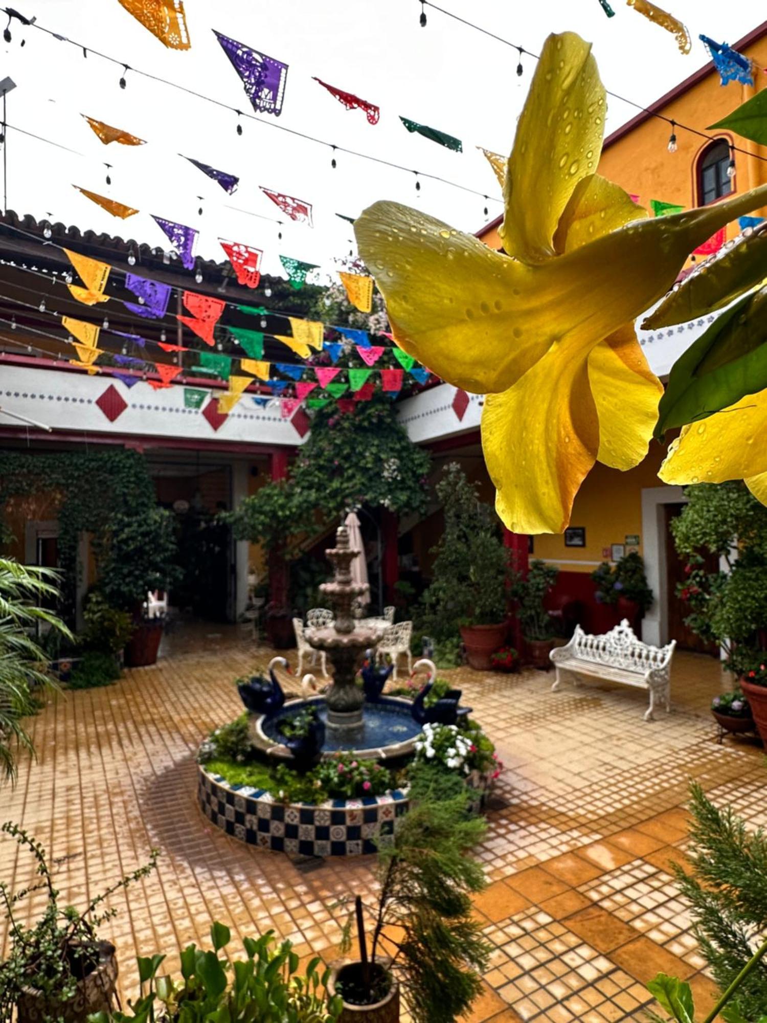 Copa De Oro Hotel Boutique Mascota Exteriér fotografie