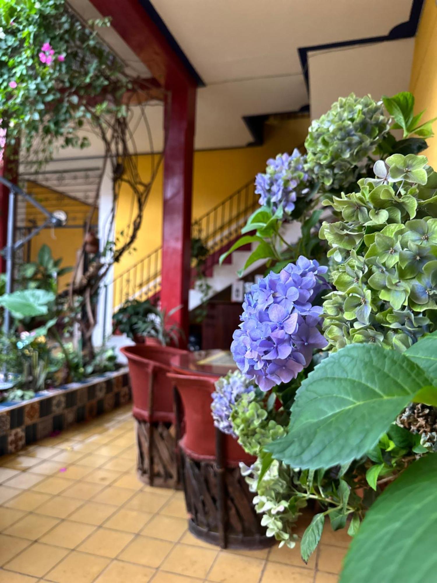 Copa De Oro Hotel Boutique Mascota Exteriér fotografie