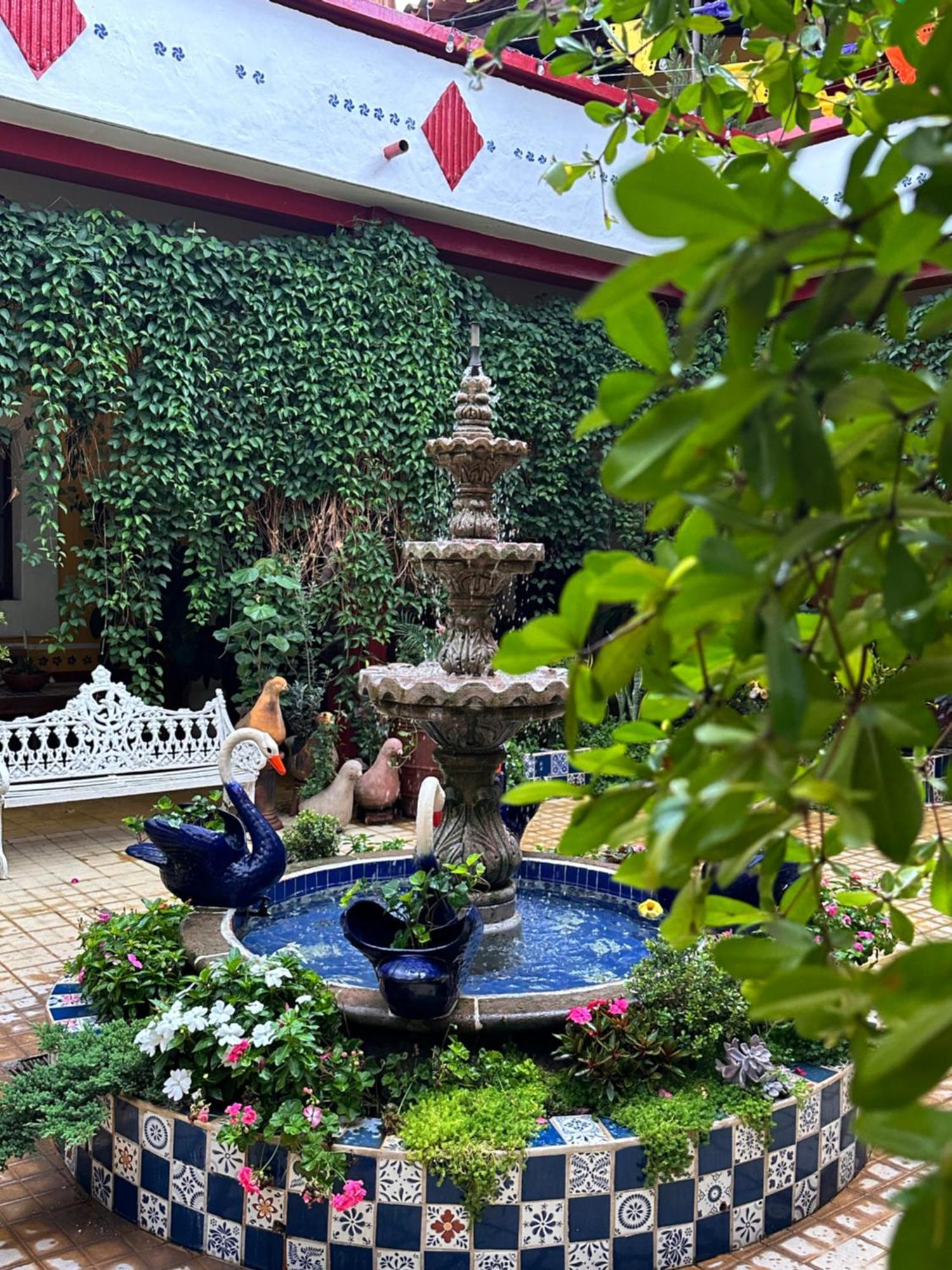 Copa De Oro Hotel Boutique Mascota Exteriér fotografie