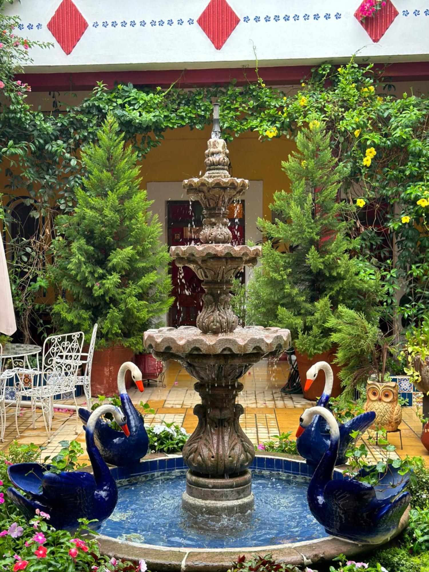 Copa De Oro Hotel Boutique Mascota Exteriér fotografie